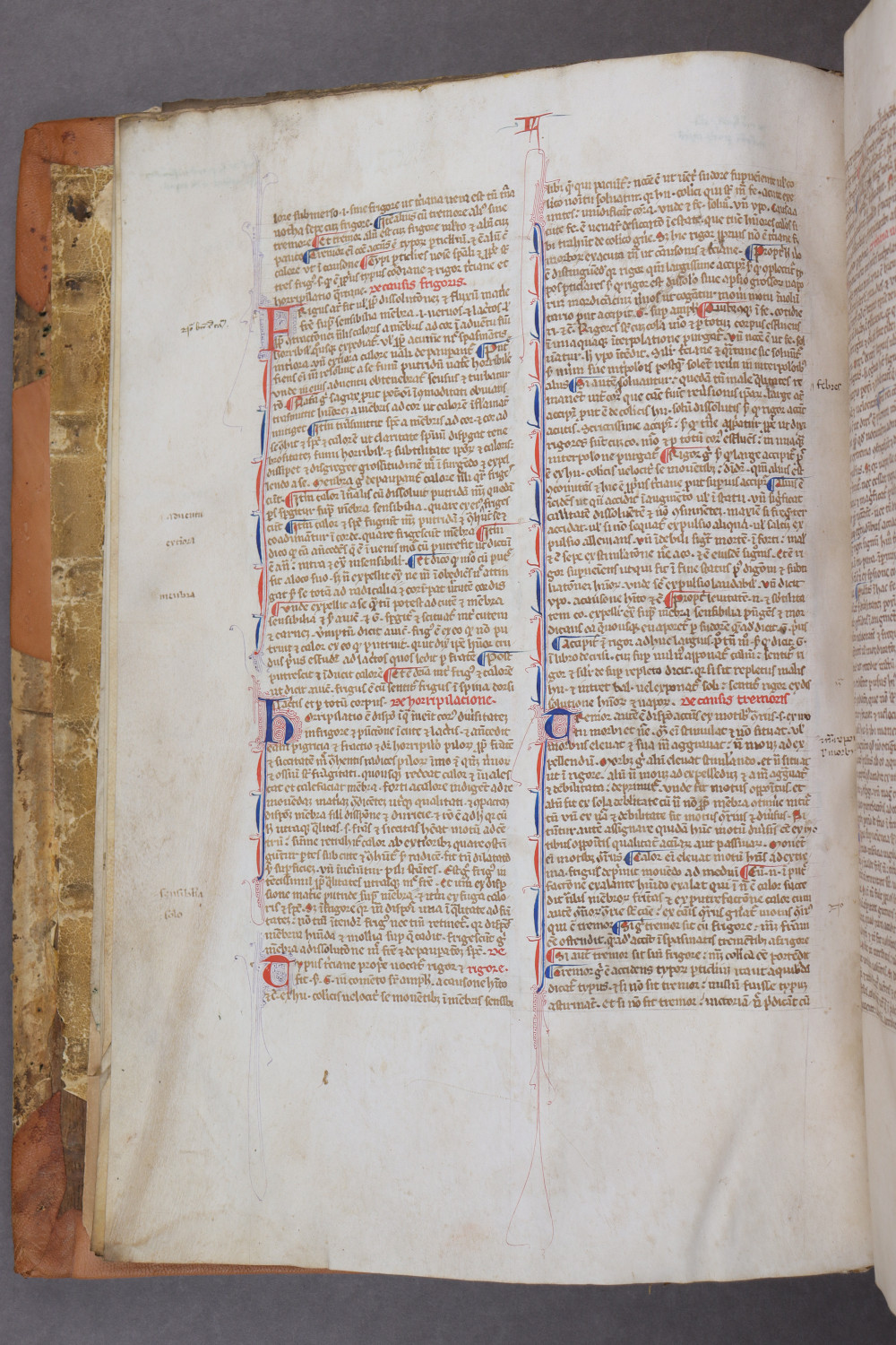 Folio 5 verso